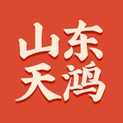 山东天鸿汽车科技股份